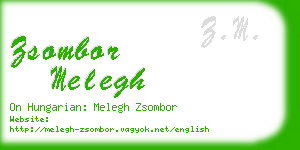 zsombor melegh business card